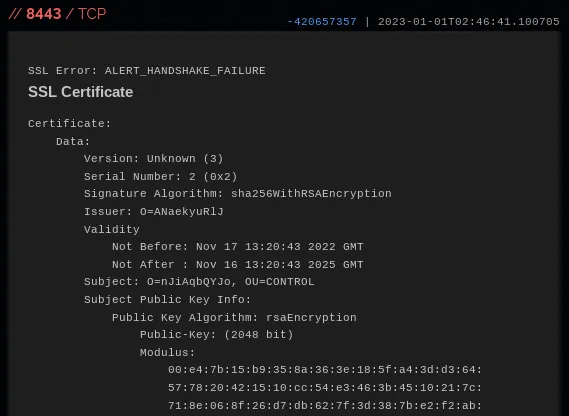 Unusual TLS certificate